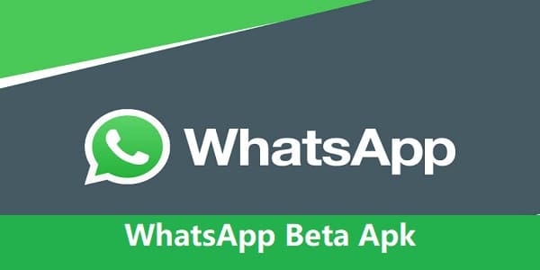 Link Download WhatsApp Beta Apk (WA Beta) Update Versi Terbaru 2023