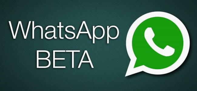 Proses Instalasi WhatsApp Beta Apk (WA Beta) di Semua Perangkat