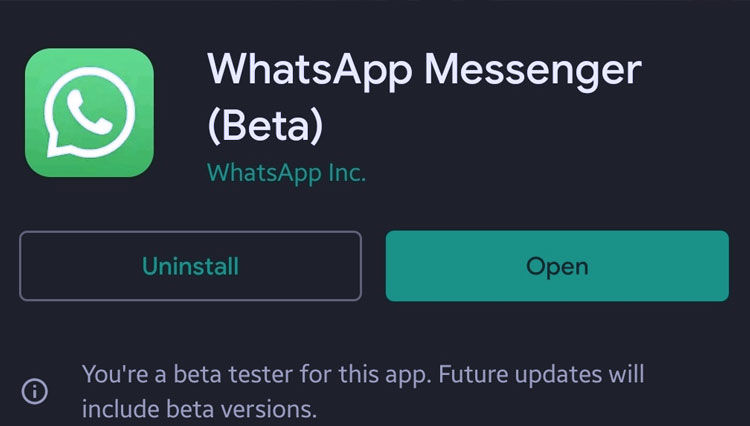 Tips Aman Menggunakan WhatsApp Beta Apk (WA Beta) 