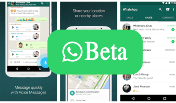 Informasi WhatsApp Beta Apk (WA Beta)